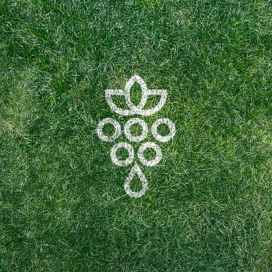 Grapes logo